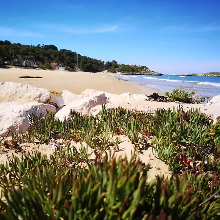 Dona Holiday home Vieste